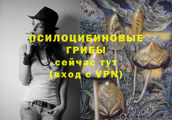 ГАЛЛЮЦИНОГЕННЫЕ ГРИБЫ Медногорск
