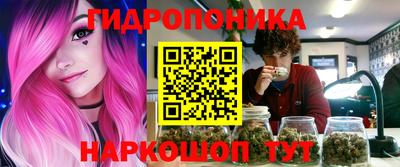 твердый Бийск