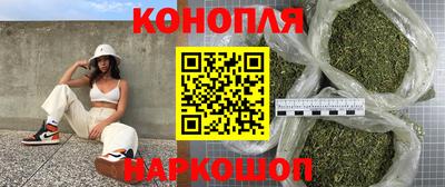 твердый Бийск