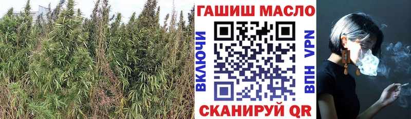 ТГК гашишное масло  кракен ССЫЛКА  Карталы  где найти  