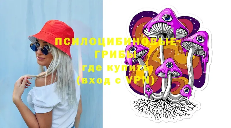 сколько стоит  Карталы  Псилоцибиновые грибы MAGIC MUSHROOMS 