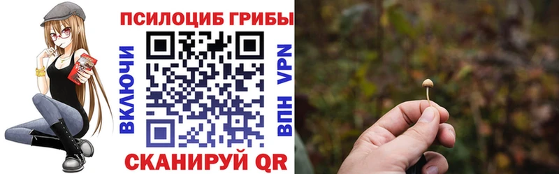 Псилоцибиновые грибы Psilocybe  Карталы 