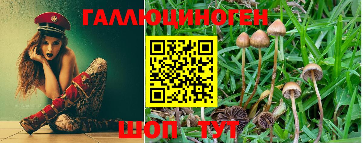 Псилоцибиновые грибы ЛСД Карталы