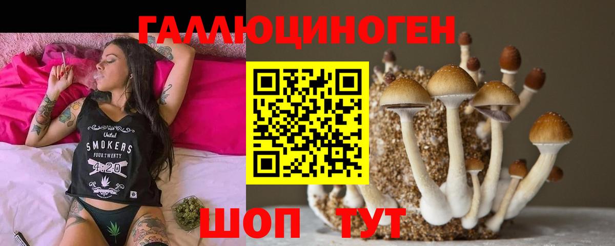Карталы  Галлюциногенные грибы мицелий  Псилоцибиновые грибы Psilocybine cubensis  купить наркотик  Вход с VPN 